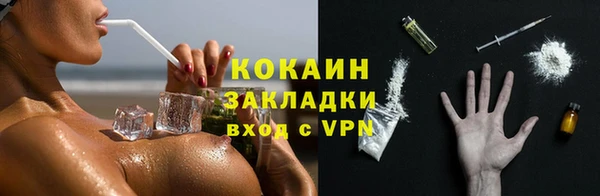хмурый Магас