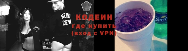 хмурый Магас