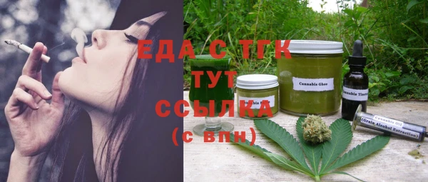 хмурый Магас