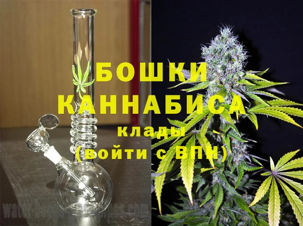 хмурый Магас