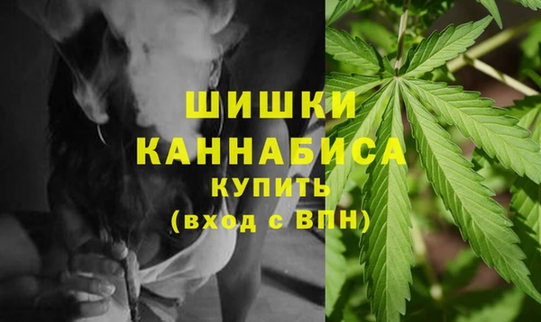 хмурый Магас