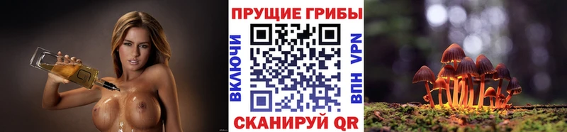 Галлюциногенные грибы Cubensis  Сергач 